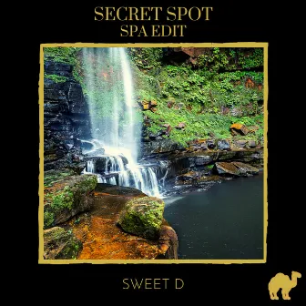 Secret Spot (Spa edit) by Sweet D