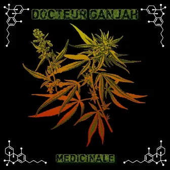 Médicinale by Docteur Ganjah