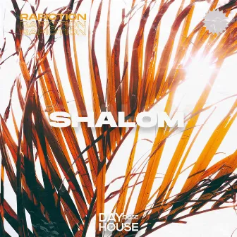 Shalom by Rafiction