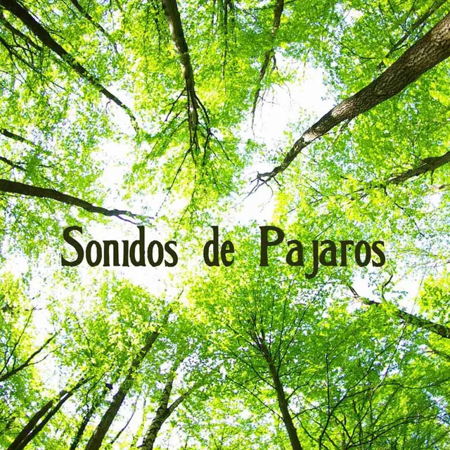 Sonidos de la Naturaleza Relax