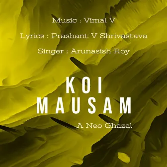 Koi Mausam by Unknown Artist