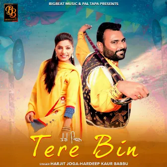 Tere Bin by Hardeep Kaur Babbu