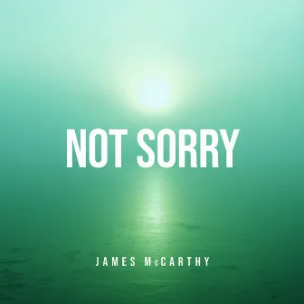 Not Sorry by James McCarthy