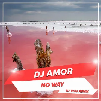 No Way (DJ VoJo Remix) by DJ Amor