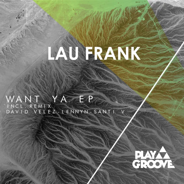 Want Ya - David Velez, Lennyn, Santi V Remix