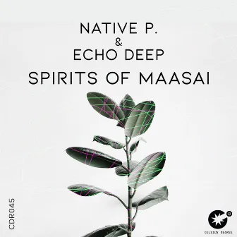 Spirits Of Maasai by Native P.