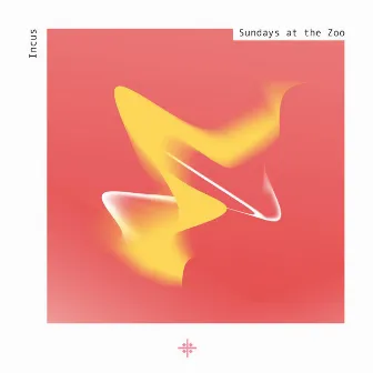 Sundays at The Zoo by INCUS (UK)