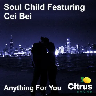 Anything For You by Cei Bei