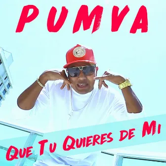 Que Tu Quieres de Mi by Pumva