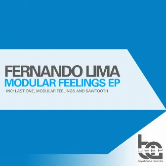 Modular Feelings EP by Fernando Lima