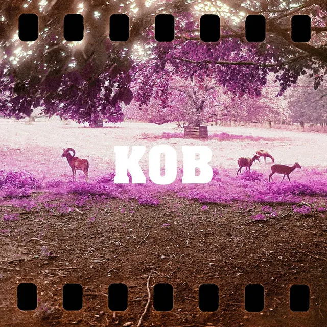 KOB - Remix