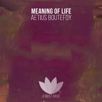 Meaning of Life by Aetius Boutefoy