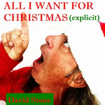 All I Want for Christmas by David Stone