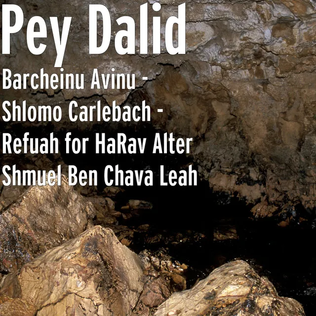 Barcheinu Avinu (Refuah for HaRav Alter Shmuel Ben Chava Leah)