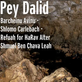 Barcheinu Avinu (Refuah for HaRav Alter Shmuel Ben Chava Leah) by Pey Dalid