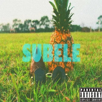 SUBELE by Rick Pineapple