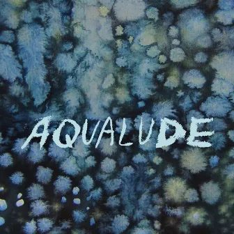 Aqualude by Dana Lyn