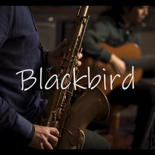 Blackbird