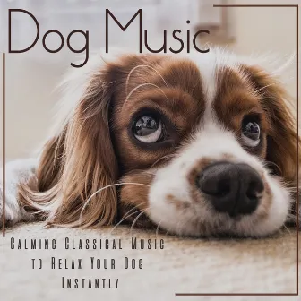 Dog Music: Calming Classical Music to Relax Your Dog Instantly by Calm Your Dog