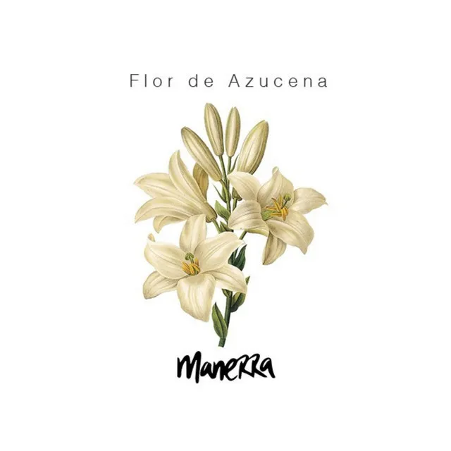 Flor de Azucena