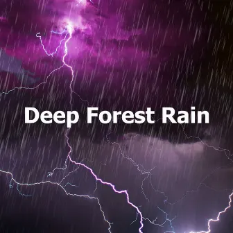 Deep Forest Rain by Rain, Thunder And Lightning Storm Sounds