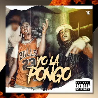 YO LA PONGO by Unknown Artist