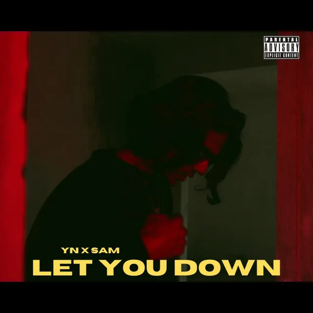 LET YOU DOWN