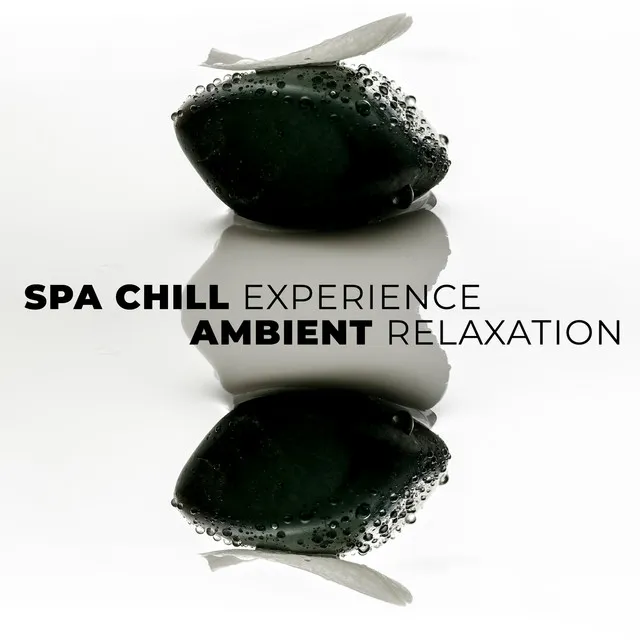 Spa Chill Experience - Ambient Relaxation, Tranquility Music Therapy for Massage, Wellness, Meditation