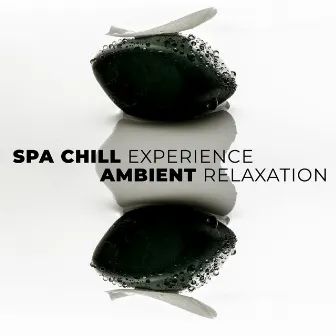 Spa Chill Experience - Ambient Relaxation, Tranquility Music Therapy for Massage, Wellness, Meditation by Spa Experience Chill