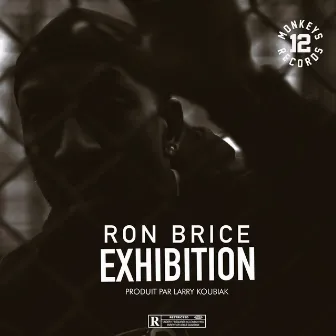 Exhibition by Ron Brice