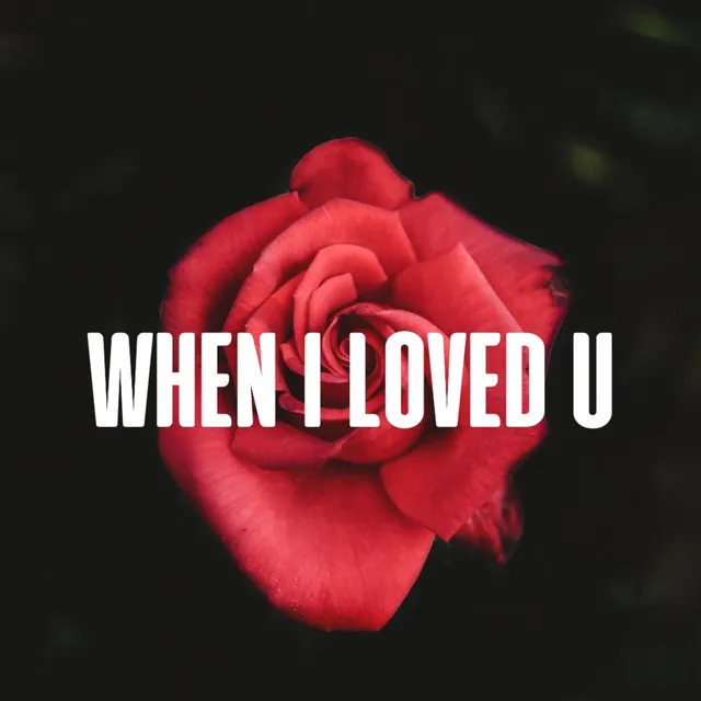 When I Loved You