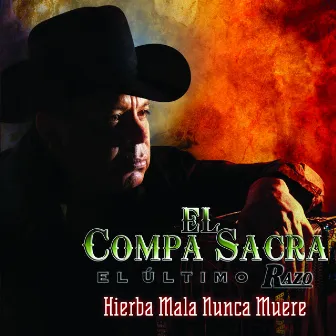 Hierba Mala Nunca Muere by El Compa Sacra, El Ultimo Razo