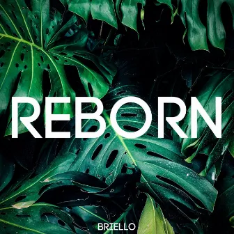 Reborn by Briello