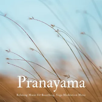 Pranayama: Relaxing Music for Breathing, Yoga Meditation Music by Essence Reliford