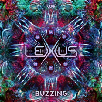 Buzzing by Lexxus (DE)