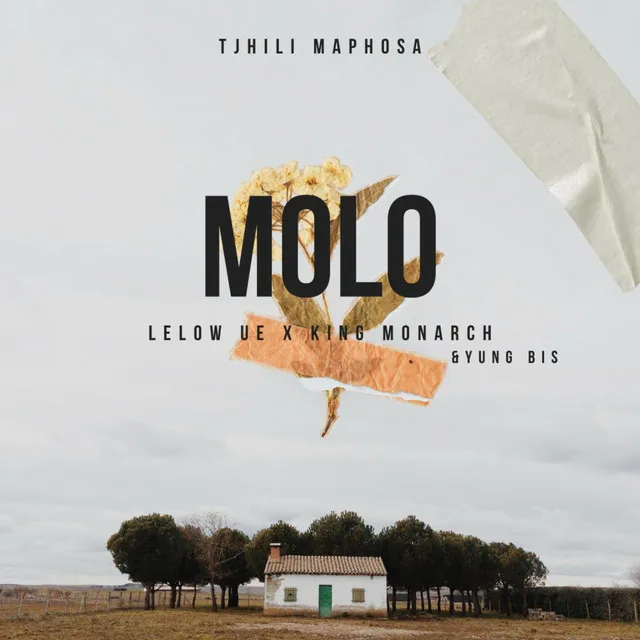 Molo