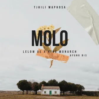 Molo by Lelow UE