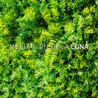 Meditación De La Luna by Meditación De La Luna