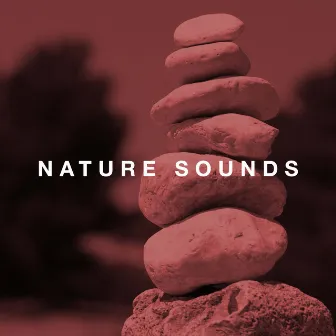 Nature Sounds - Relaxing Music, White Noise, Rain Sounds and Ocean Waves by Unknown Artist