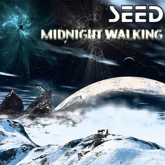 Midnight Walking by Seed