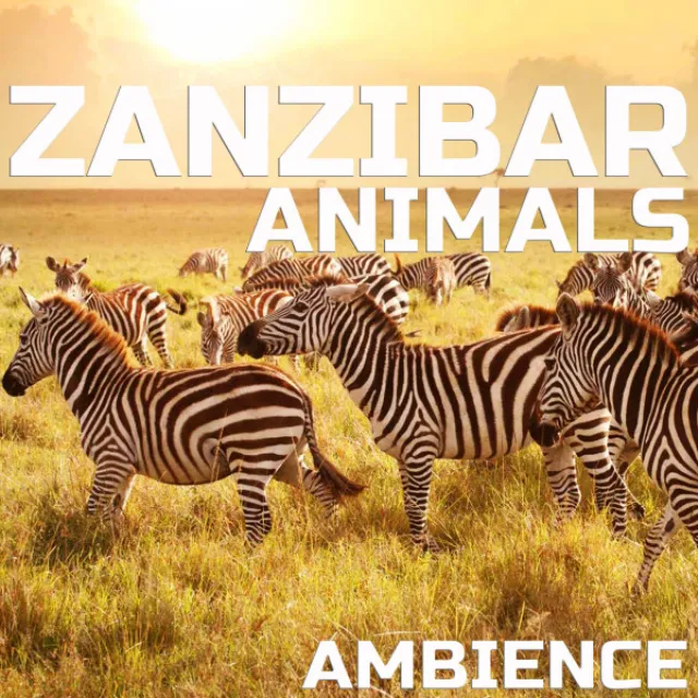 Zanzibar Animals Ambience