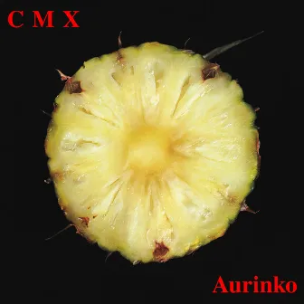 Aurinko (2012 Remaster) by CMX