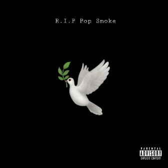 R.I.P Pop Smoke by FreezzaCreed