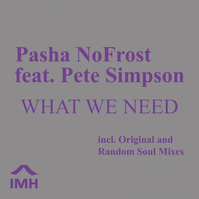 What We Need (feat. Pete Simpson)