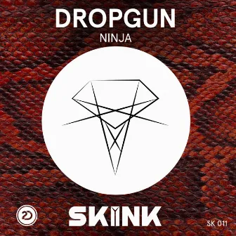 Ninja by Dropgun