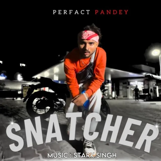 Snatcher