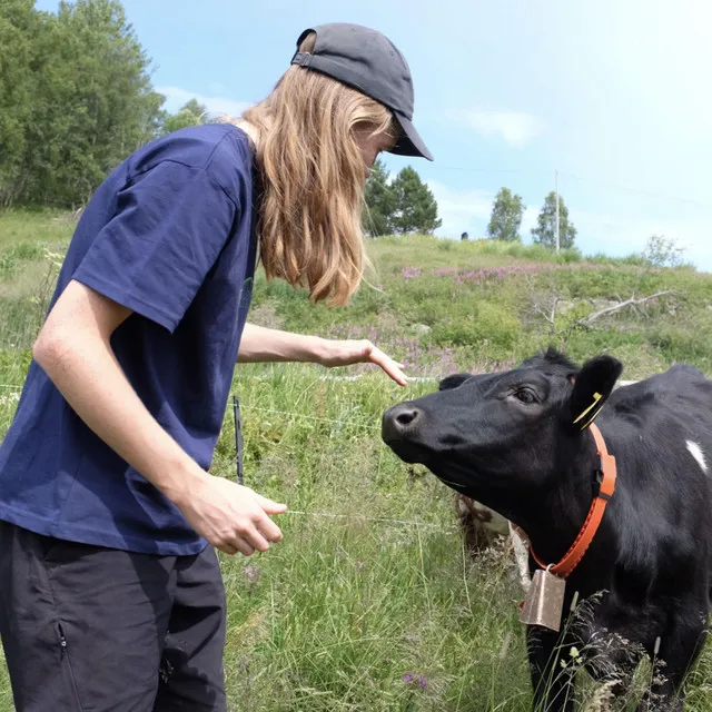 Gentle Piano Music For Four-Legged Friends