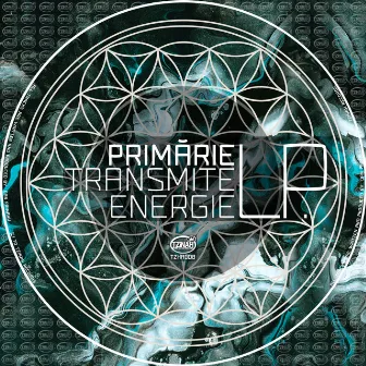 Transmite Energie LP by Primarie