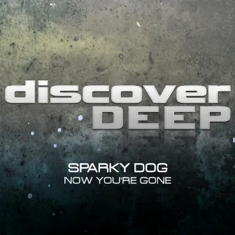 Now You're Gone by Sparky Dog