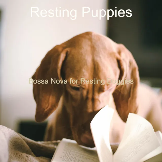 Music for Sleeping Doggies